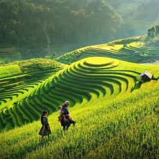 du lịch sapa 2 ngày 1 đêm tự túc